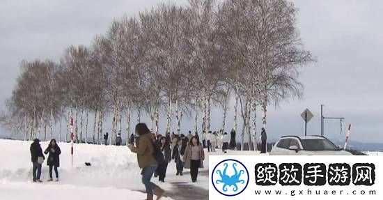 够狠！日本北海道阻无良游客未果