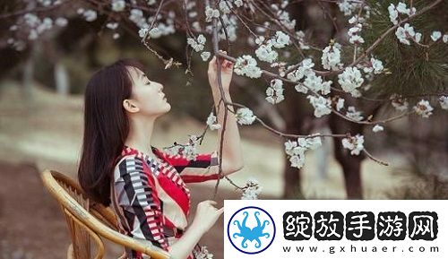 成品网站1.1.719