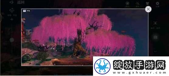 天谕手游幼年约定任务怎么做