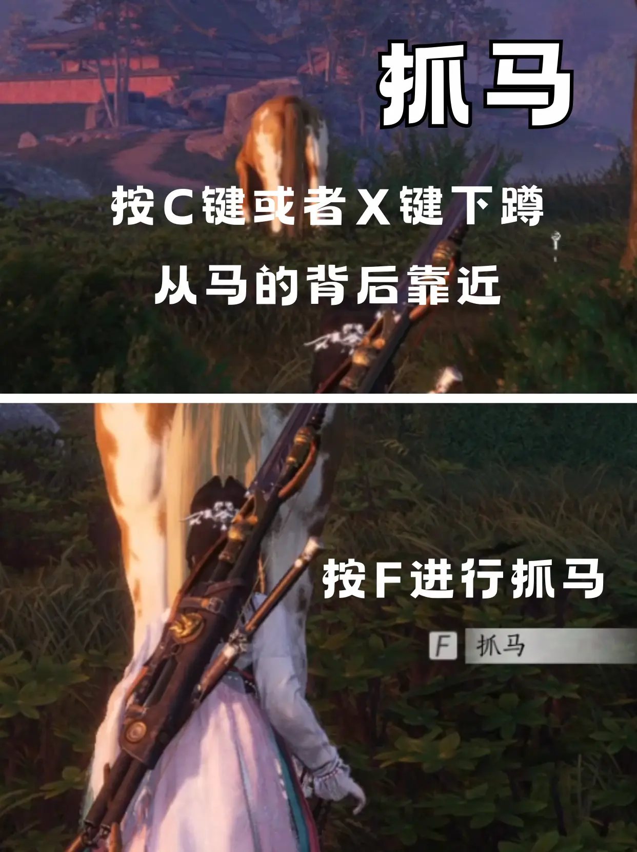 燕云十六声抓坐骑攻略