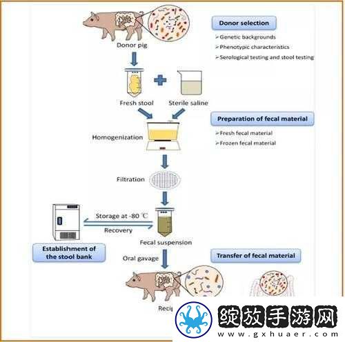 人与畜禽