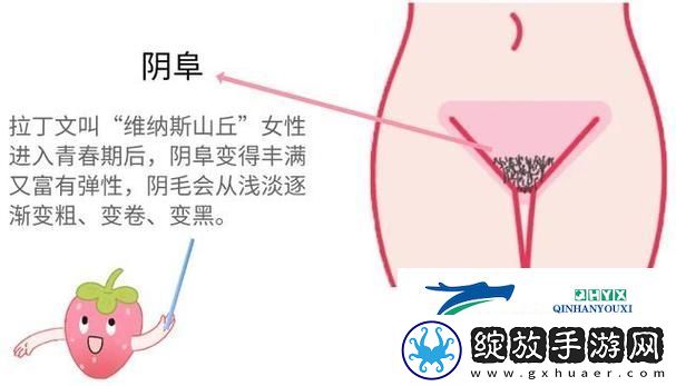 大荫蒂BBBBBB大荫蒂
