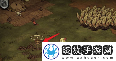 饥荒如何种菜