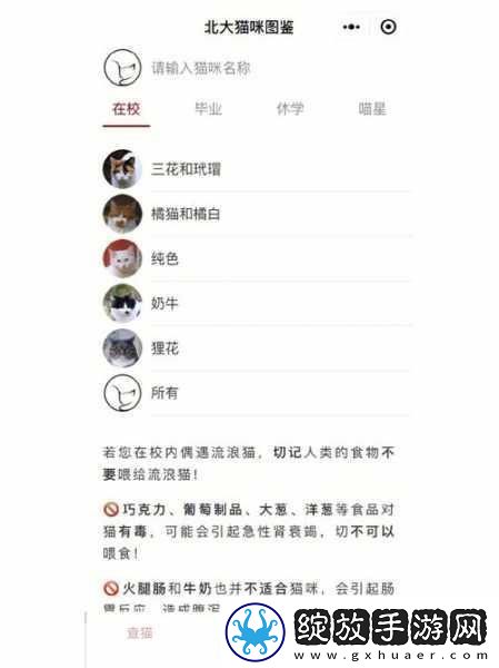 猫咪和汤微信小程序数据能否无缝迁移至APP