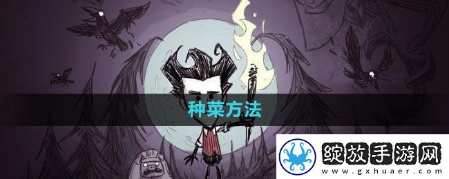 饥荒如何种菜