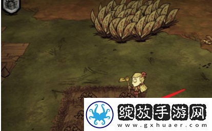 饥荒如何种菜