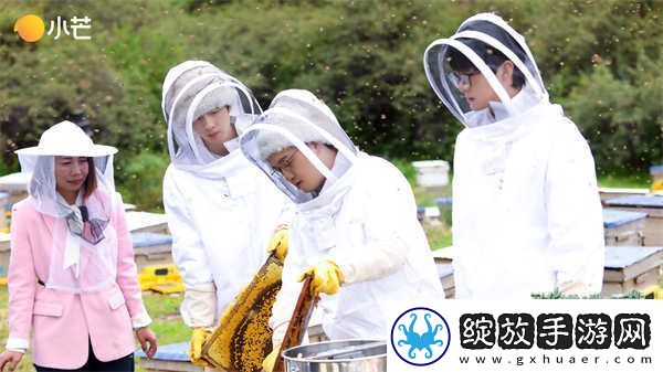 从制作蜂蜜到观测宇宙
