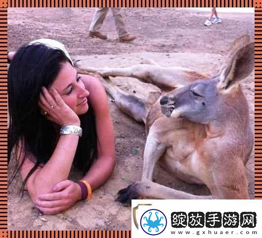 “奇趣互动！高清时代的人物与动物‘吵架’日常
