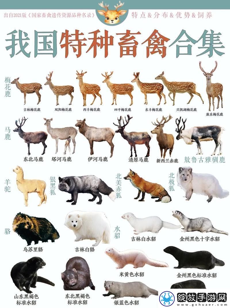 **“兽合”奇谭