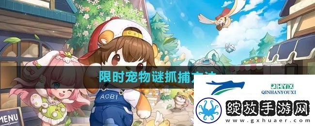 奥比岛限时宠物谜怎么抓