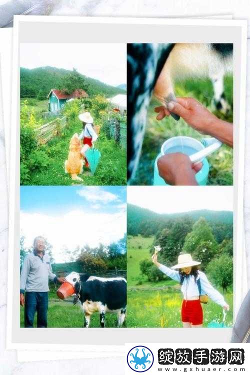 以后挤牛奶拔萝卜两不误