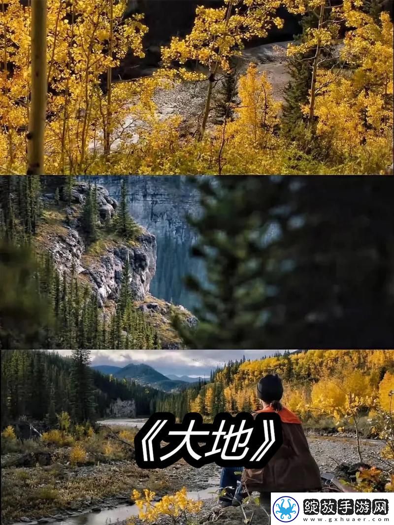 大地资源二高清版免费观看下载