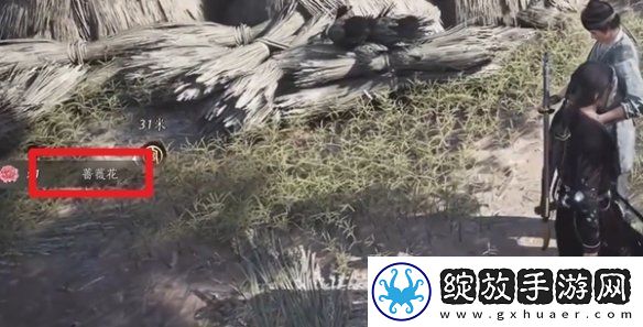 燕云十六声蔷薇风信任务怎么过