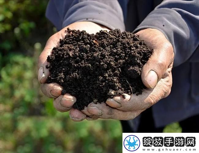 在“耕种妈妈肥沃的土地美国”上播撒希望的种子