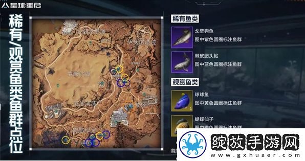 星球重启稀有鱼群怎么获得