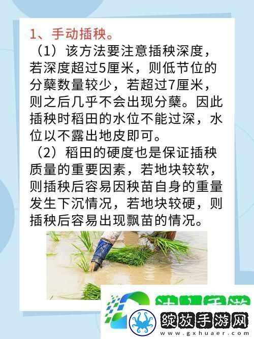 探索“夫妻插秧的38种方法图解大全”中的农耕乐趣