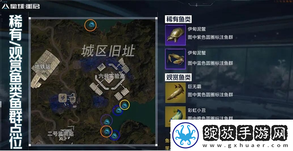 星球重启稀有鱼群怎么获得
