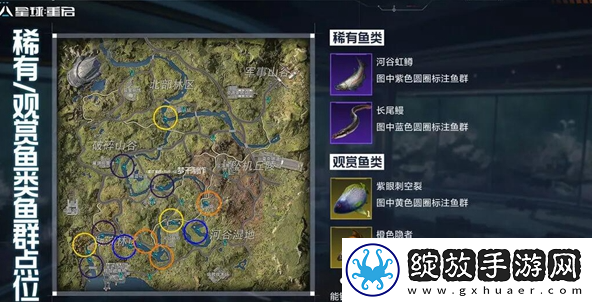 星球重启稀有鱼群怎么获得