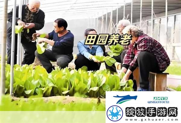 开心养老院最新版来袭