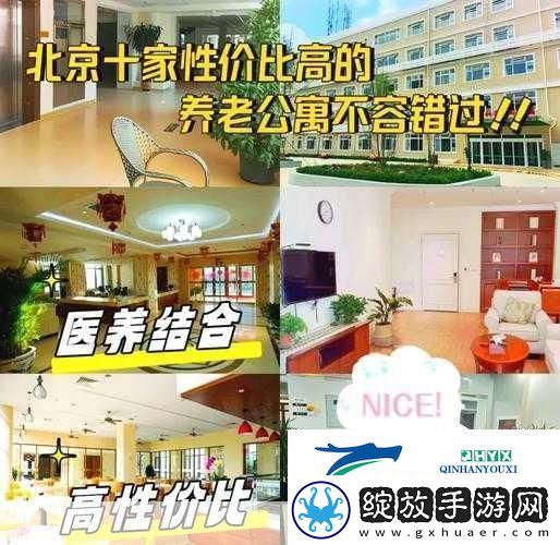 开心养老院最新版来袭
