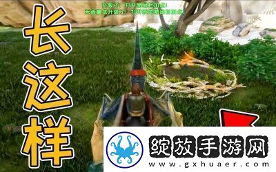 方舟生存进化