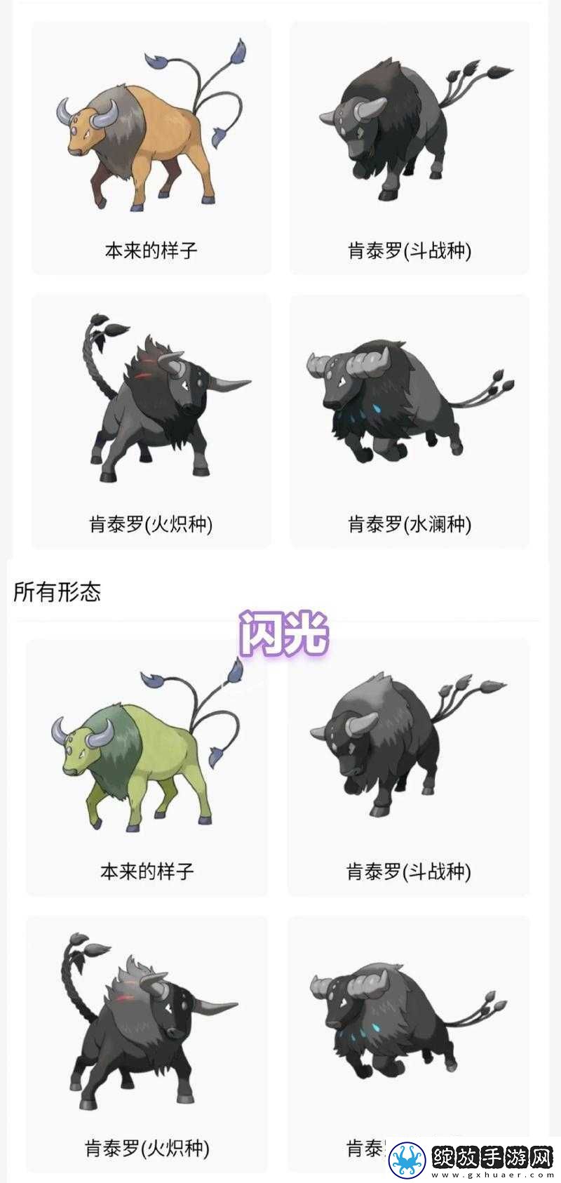 宝可梦大探险全面指南