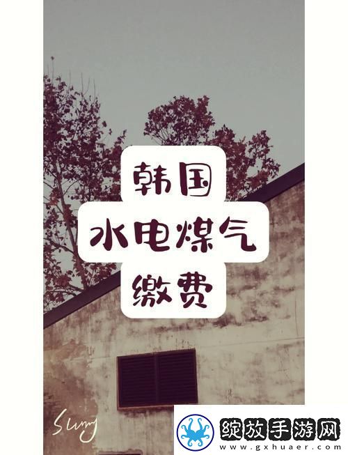 好看的韩国三色电费