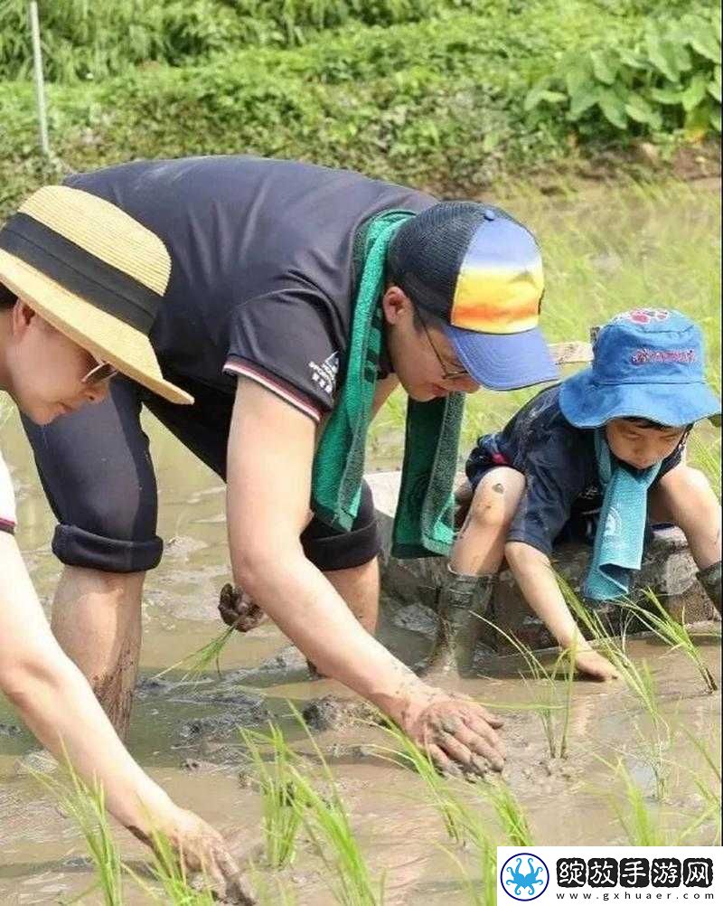 夫妻插秧技巧大全