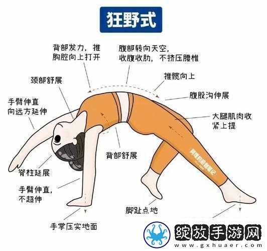 两种进入狂野式的方法有哪些随时进行点播之详细解析与要点提示