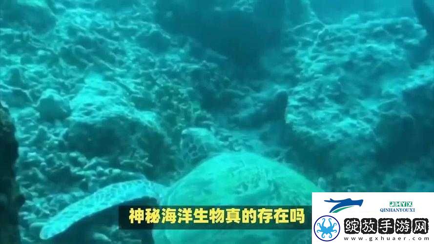 地心护核者荒野区深度鱼类探秘
