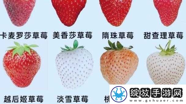 甜美多汁的西瓜with草莓