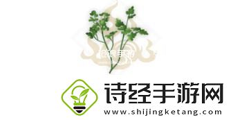 妄想山海胡荽幼苗配方介绍