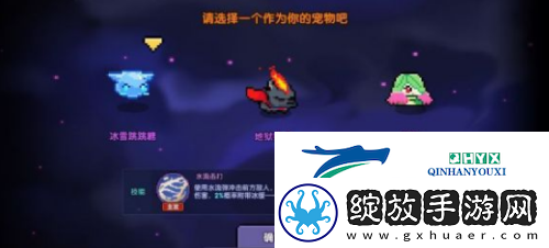 我的勇者宠物怎么选