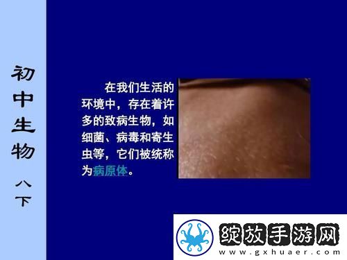探秘“翁止熄痒苏钥10章”的深邃哲理