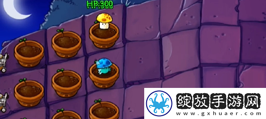 植物大战僵尸抽卡版冒险模式6