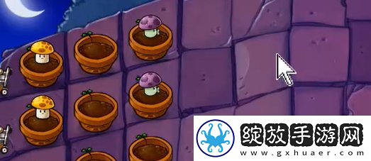 植物大战僵尸抽卡版冒险模式6