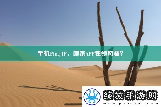 手机Ping