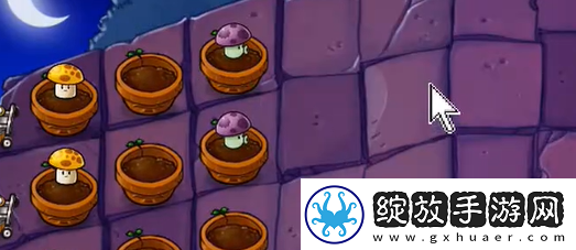 植物大战僵尸抽卡版冒险模式6