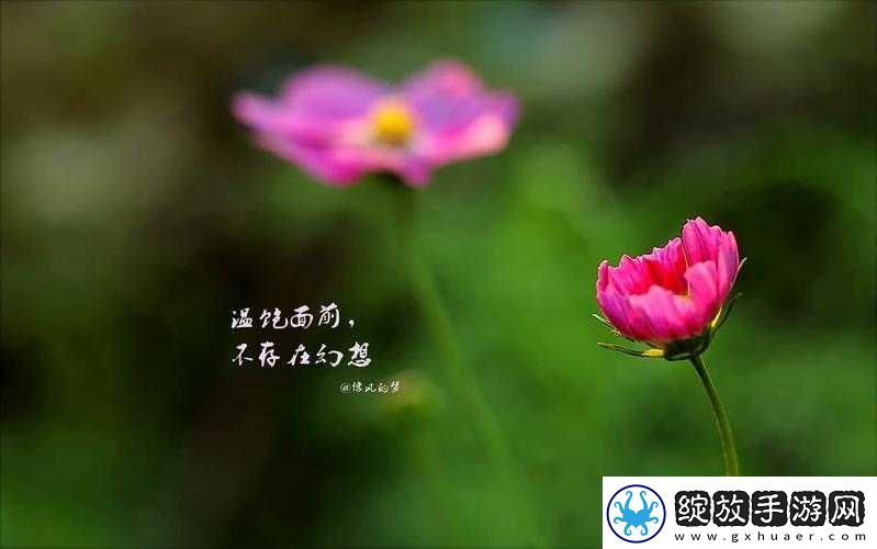 海角**