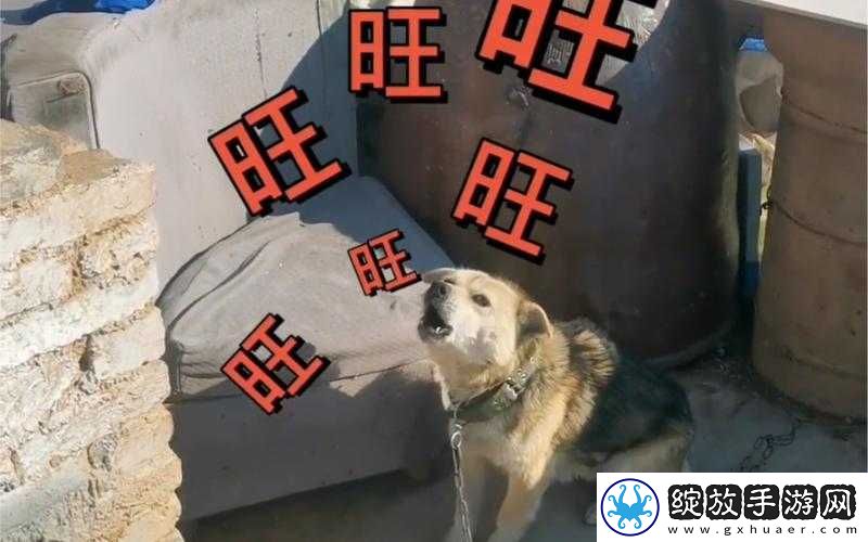 小狗欢快爬过来兴奋地叫主人啦