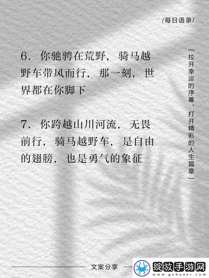 任他驰骋索取