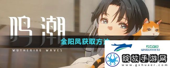 鸣潮金阳凤在哪获取