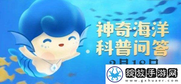 鲸类中被誉为“潜水冠军”的是