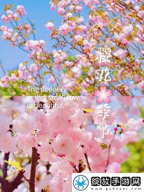 请用你的手打扰我樱花