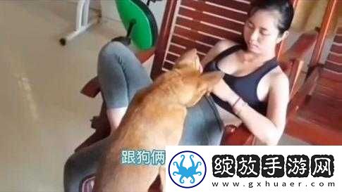 狗配人会锁住多长时间能分开