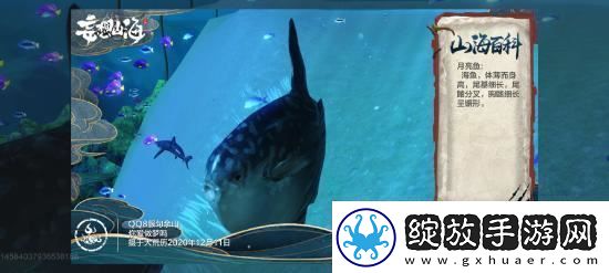 妄想山海普通异兽月亮鱼资料介绍