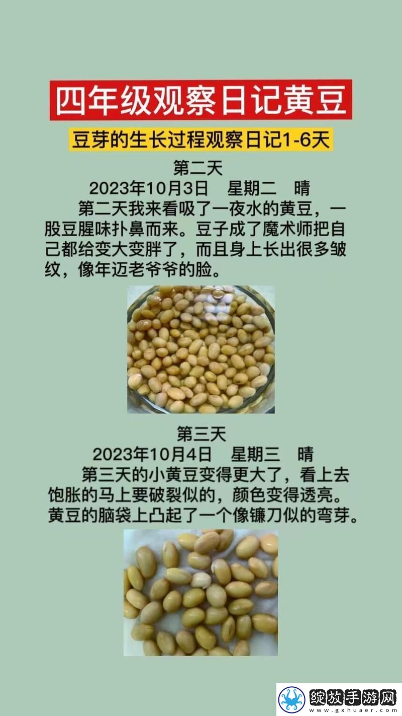 小翠日记1