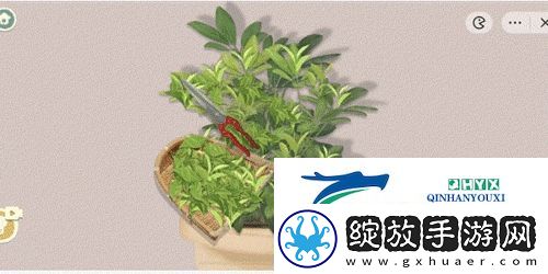 收纳物语东方茶叶怎么过