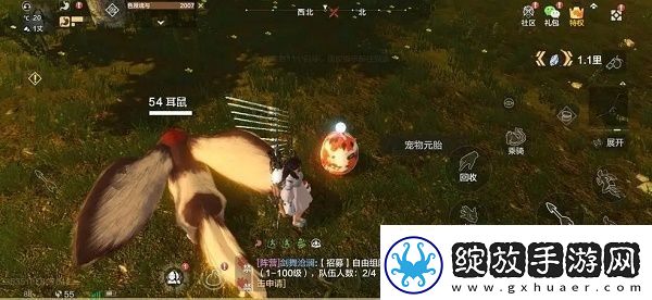 妄想山海清荧菌怎么获得