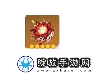 探索原神司书魔女之宝库